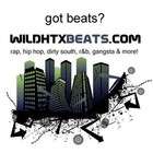 Picture for song 'SMC Beat (Bun B type) Gangsta' by artist 'Wild HTX Beats'