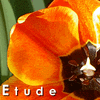 Picture for song 'Etude' by artist 'William West'