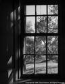 Picture for song 'At My Window' by artist 'WillySunday'
