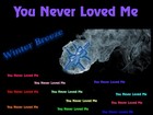 Picture for song 'You Never Loved Me' by artist 'Winter Breeze'