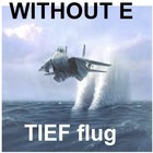 Picture for song 'TIEFFLUG' by artist 'WITHOUT E'