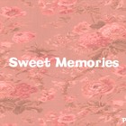 Picture for song 'Sweet Memories' by artist 'Wonderlust Beats'