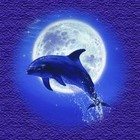 Picture for song 'WPT vs EXPLODE- Slow soldier' by artist 'WPT'