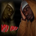 Picture for song 'Stir of Echoes' by artist 'Wyld Xpense'