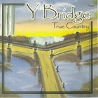 Picture for song 'Thank God Every Morning' by artist 'Y Bridge'