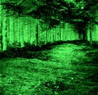 Picture for song 'It's Great' by artist 'Yez'