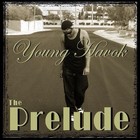 Picture for song 'Young Havok: Pursuit of Dreams' by artist 'Young Havok'