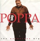 Picture for song 'Big Poppa Prod Young N Fly' by artist 'Young N Fly Beatz'