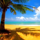 Picture for song 'On the Road to the Sea' by artist 'Young Starz Music'