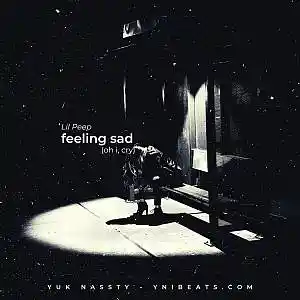 Picture for song 'feeling sad (Em 117)' by artist 'YukNassty'