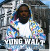 Picture for song '15. Money On My Mind' by artist 'YuNG WaLT'