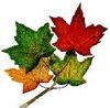 Picture for song 'KEEP THE GREEN ALIVE PT 4 TRIBAL INSTINCTS' by artist 'ZEST RADIO SHOW'