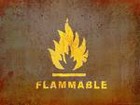 Picture for song 'Flammable' by artist 'Zombie20'