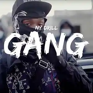 Picture for song 'UK DRILL$ GANG $ NY DRILL $ CENTRAL CEE $ 2K23' by artist 'Shut up! Beat'