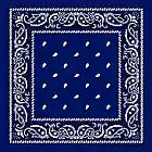 Picture for song 'Bacc Seat Ridahz' by artist 'A Wax Music'