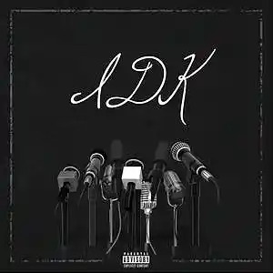 Picture for song 'IDK' by artist 'Beats by Pixel'