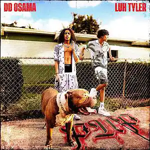 Picture for song 'Pup (feat. Luh Tyler)' by artist 'DD Osama'