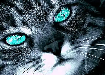 Picture for song 'Diamonds In Your Eyes' by artist 'DHW'