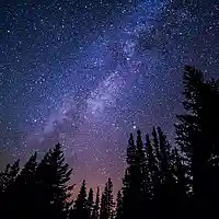 Picture for song 'They Called Us Angels' by artist 'Leonard Scaper'