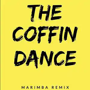 Picture for song 'Sonnerie Gratuite The Coffin Dance (Marimba Cover)' by artist 'SonneriePortable'