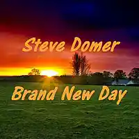 Picture for song 'Brand New Day' by artist 'Steve Domer'