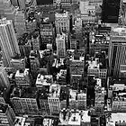 Picture for song 'CONCRETE JUNGLE (FREE DL)' by artist 'Diamond Bezel Productions'