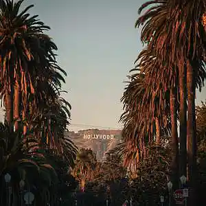 Picture for song 'Palm Trees' by artist 'RoRo Beats'