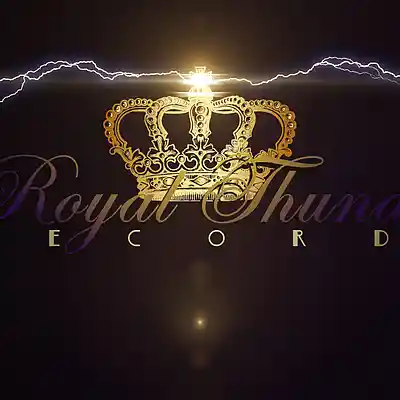 Picture for song 'IM NEW' by artist 'Royal Thunder Records'