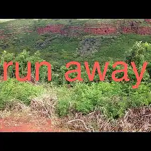 Picture for song 'run away' by artist 'Aaron Down'