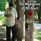 Picture for song 'The Meditation Of My Heart - Instrumental' by artist 'Alan B'