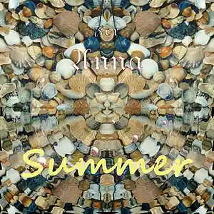 Picture for song 'Summer' by artist 'Andy Kockelkoren'