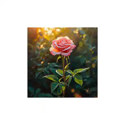Picture for song 'Redeemed' by artist 'Carolin'