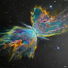 Picture for song 'Butterfly' by artist 'Jerry Kratzmeyer'