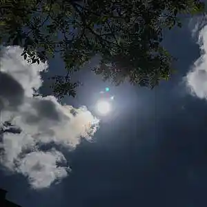 Picture for song '(FREE) Chill Vibe type beat - "Sunshine"' by artist 'J.K.Beats04'
