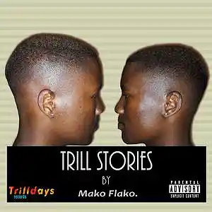 Picture for song 'Trill Stories' by artist 'Mako Flako'