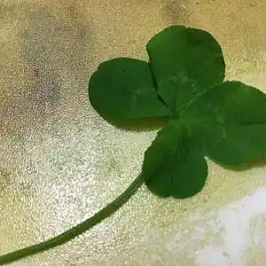 Picture for song 'maryanne.mp3' by artist 'meglodave'