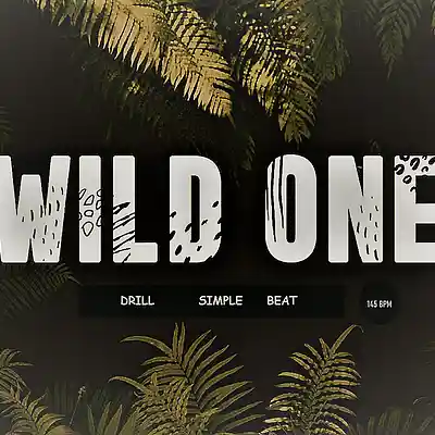 Picture for song 'WILDLIFE_DRILL BEAT INSTRUMENTAL' by artist 'proKDG'