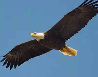 Picture for song 'Mount Up' by artist 's9undV1ZNZ K 0 D 3 7'