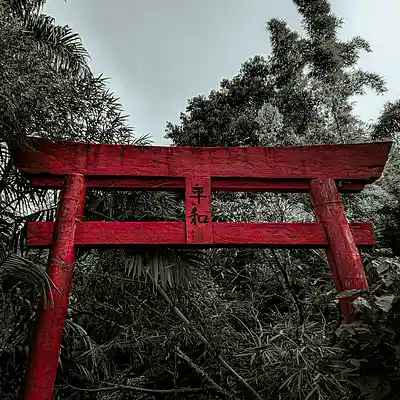Picture for song 'Koto Trap 808s Type Beat 01' by artist 'Saitamind'