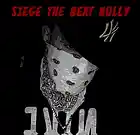Picture for song 'sELf dESTRUCTINg' by artist 'siegethebeatbully'