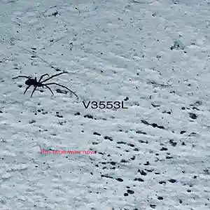 Picture for song 'the sky beneath' by artist 'V 35 53 L'