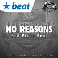 Picture for song 'NO REASONS - (Buy 2 get 3 FREE!)' by artist 'ALLROUNDA Productions'
