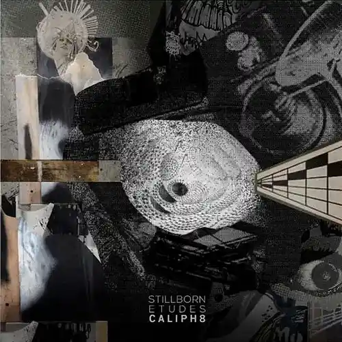 Picture for song 'a heightened boom kat' by artist 'Caliph8'