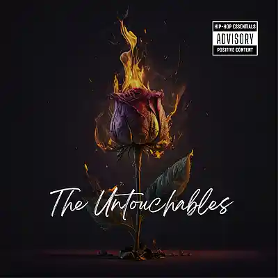 Picture for song 'Untouchables' by artist 'Don Destin'