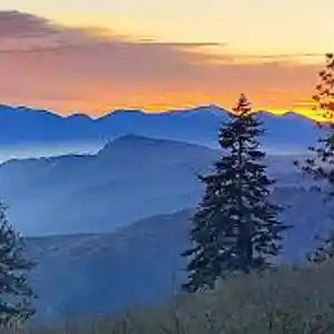 Picture for song 'Rim of the World' by artist 'Johanna Renfro'