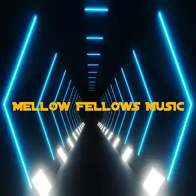Picture for song 'Dance Banger (Hook)' by artist 'Mellow Fellows Music'