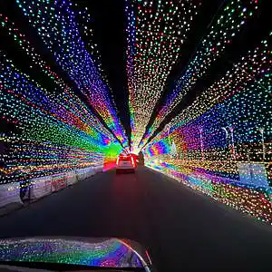 Picture for song 'speedway' by artist 'Nick Savvy'