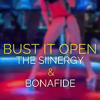 Picture for song 'Bust It * Club * FREE DL' by artist 'The Siinergy'