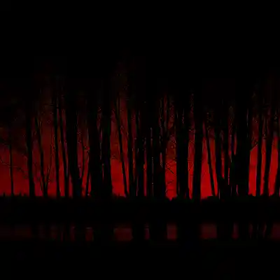 Picture for song 'Ominous Force' by artist 'Don Hendrix'