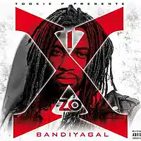 Picture for song 'Traverser Prod By @LilBanksReal' by artist 'Lil Banks Productions'